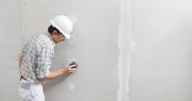 Best Mold Damage Restoration  in USA