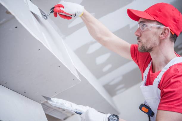 Best Attic Mold Removal  in USA